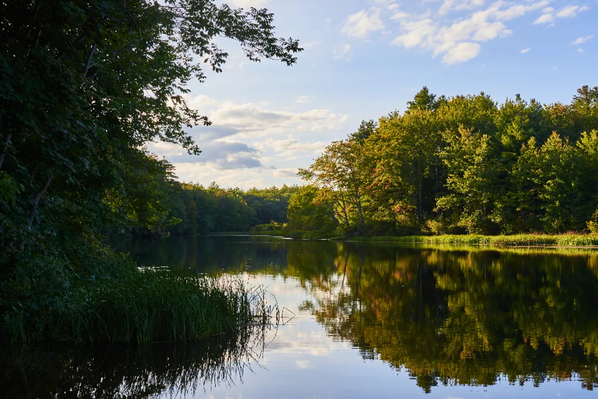 A still pond reflecting green trees and a blue sky with white clouds