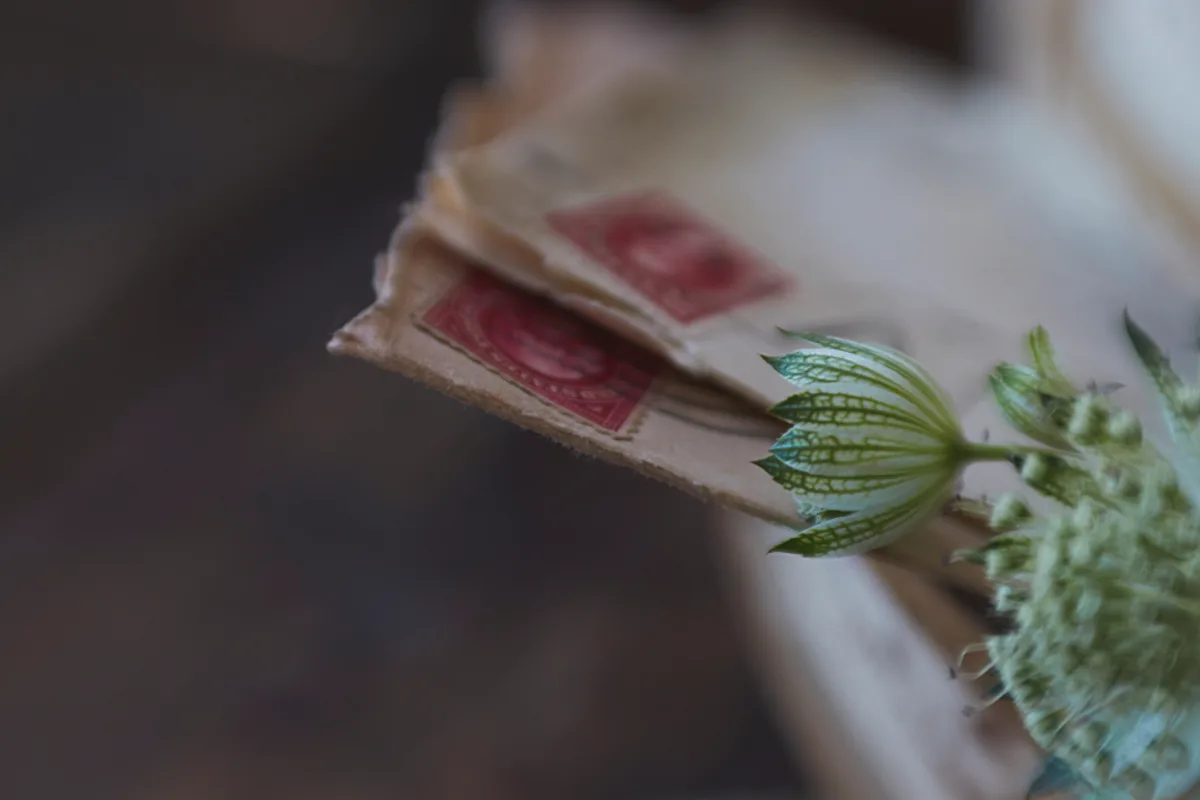 A bundle of old letters with red stamps beside a pale green flower, close up