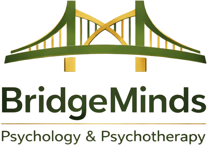 Bridge Minds logo dark version for psychotherapy and counseling services